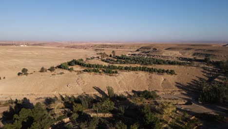 green oasis in the desert of ne'ot semadar, aerial view of nature and landscape