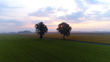 aerial view of field in countryside 4k