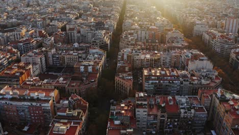 aerial view of barcelona cityscape at sunrise/sunset