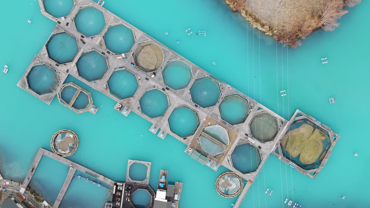 Top-down drone shot slowly descending and rotating above circular fish pens at High Country Salmon in Twizel, revealing the geometric layout and vibrant blue water