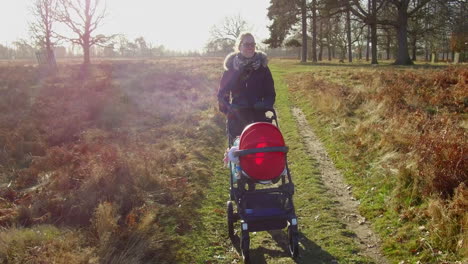 Frau-Geht-An-Einem-Hellen-Wintertag-Mit-Kinderwagen-Auf-Dem-Land-Auf-Die-Kamera-Zu