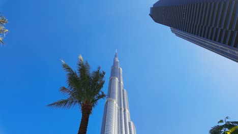 burj khalifa and palm trees in dubai