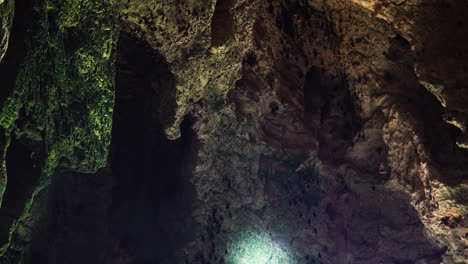 sleeping bats in deep cave lit with flashlight, static view