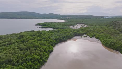 Luftüberflug-Bewachsene-Landschaft-Mit-Playa-Tortuguero-Mit-See-In-Der-Dominikanischen-Republik