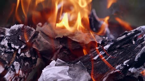dropping money in bonfire. close up view of burning banknotes of money in a fireplace