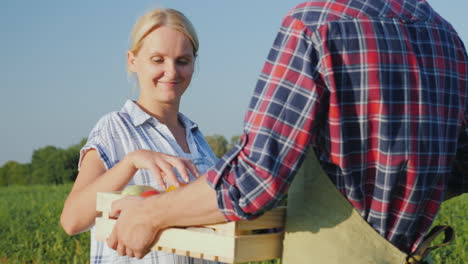 a woman takes a box of vegetables from the farmer's hands fresh vegetables directly from the field