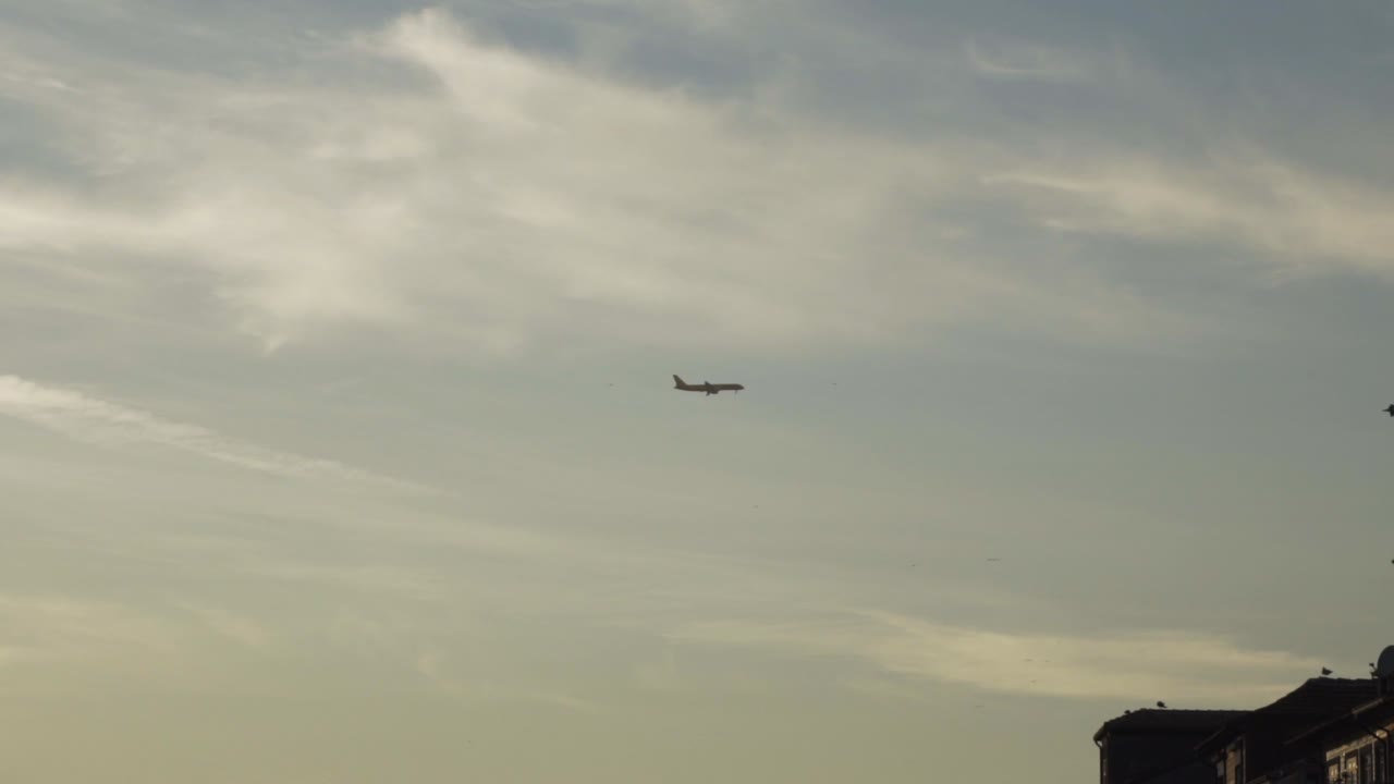 avión volando junto a un pájaro en un cielo vacío con suaves nubes cirros
