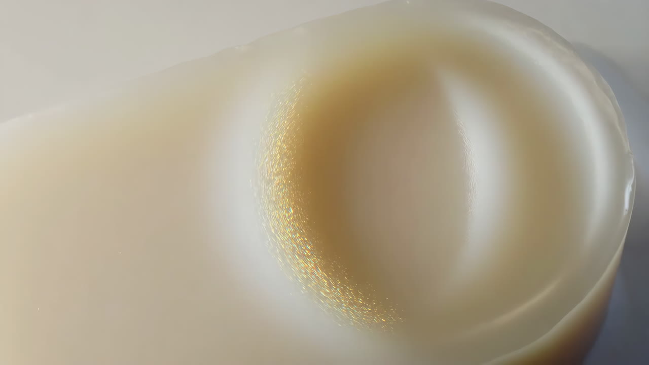 Close-up of fresh squid