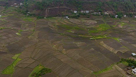 aerial view of rice terraces in punakha, bhutan