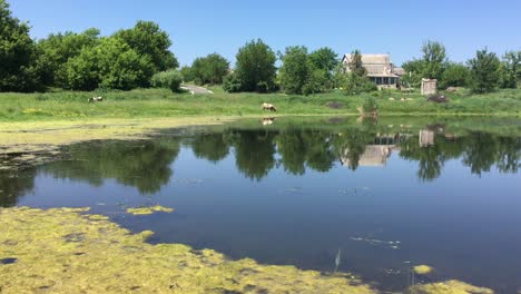 scene with small pond at summer season in rural ukrainian village