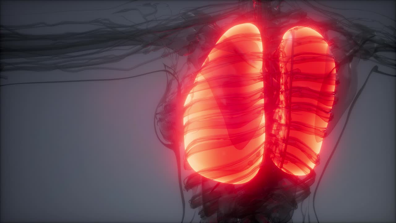 examen radiológico de los pulmones humanos