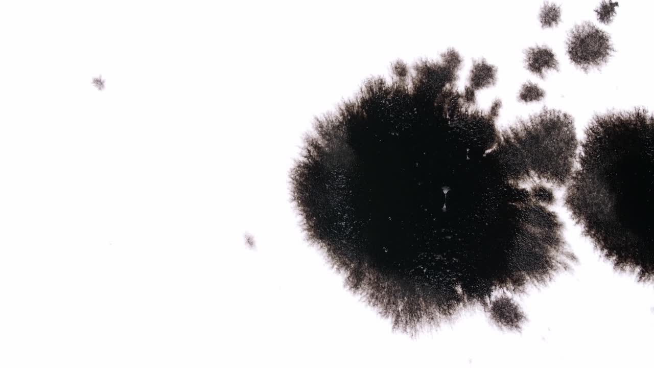 Gocce d'inchiostro nero su sfondo bianco