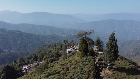 aerial shot of tea garden and himalayas mountain range in background, sunny morning in hills