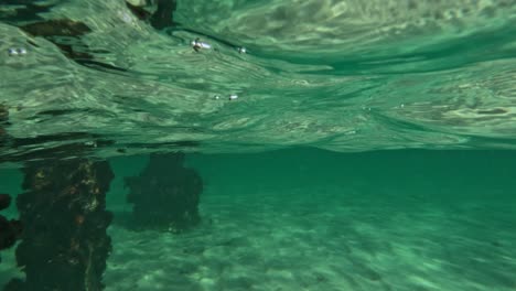 agua clara, pilones de muelle y fondo de arena