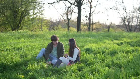 couple relaxing in a park