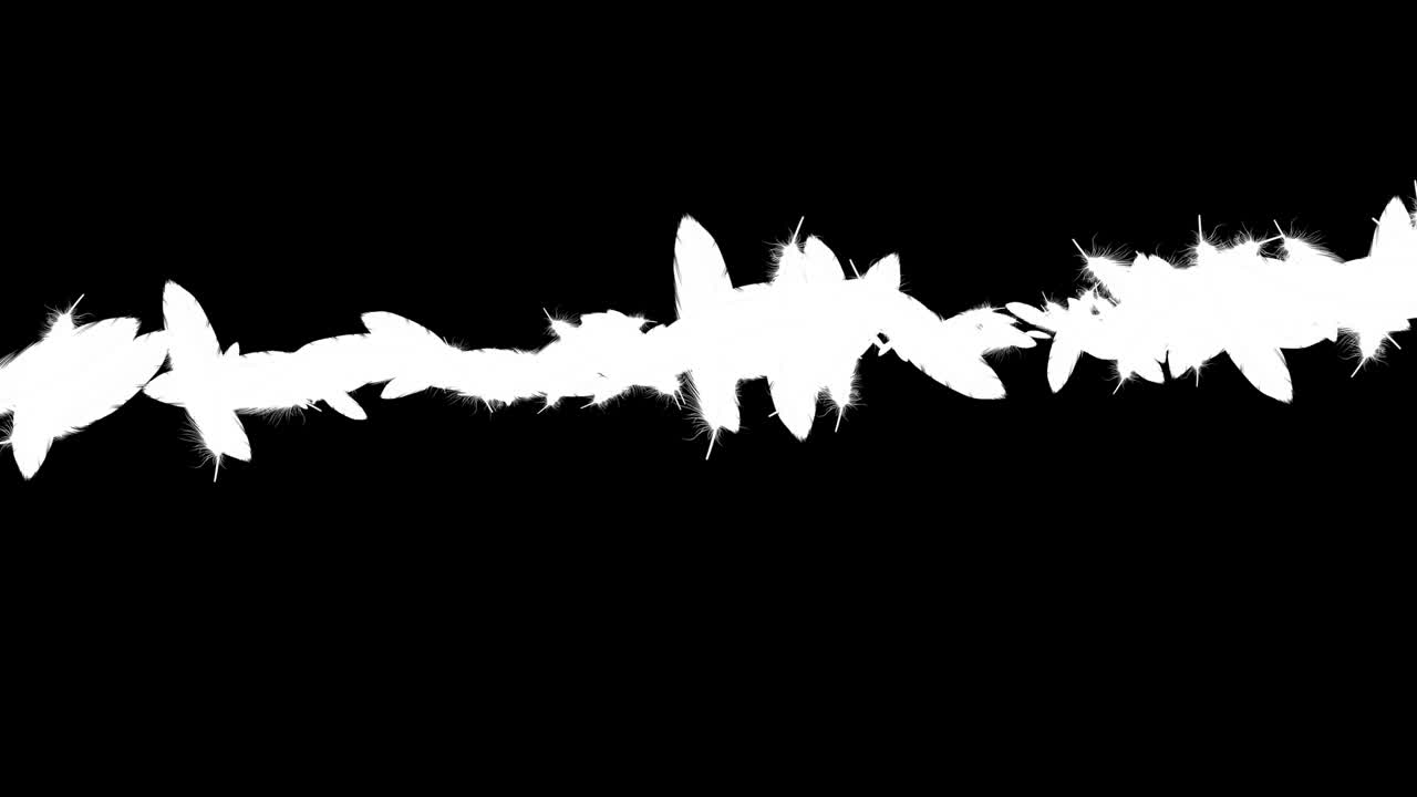 털이 날아다니는 입자 모션 그래픽