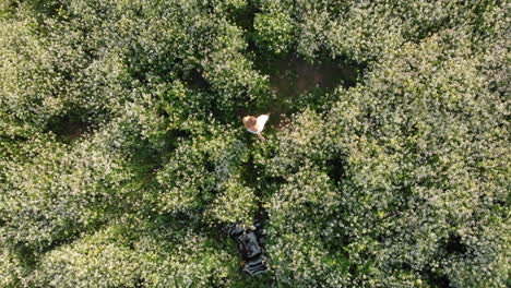 Aerial-of-Young-Woman-Walking-in-Flowers