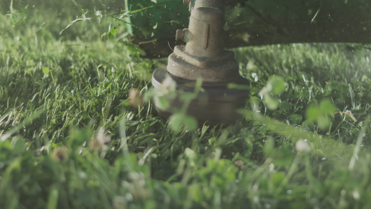 잔디를 는 잔디 기기의 클로즈업