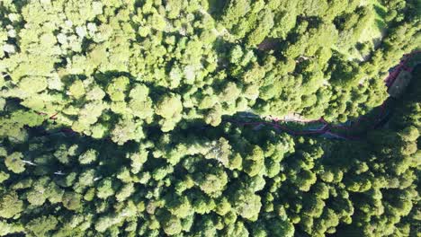 Aerial-truck-left-of-Termas-Geometricas-hot-spring-complex,-hidden-in-ravine-between-green-rain-forest,-Coñaripe,-Chile