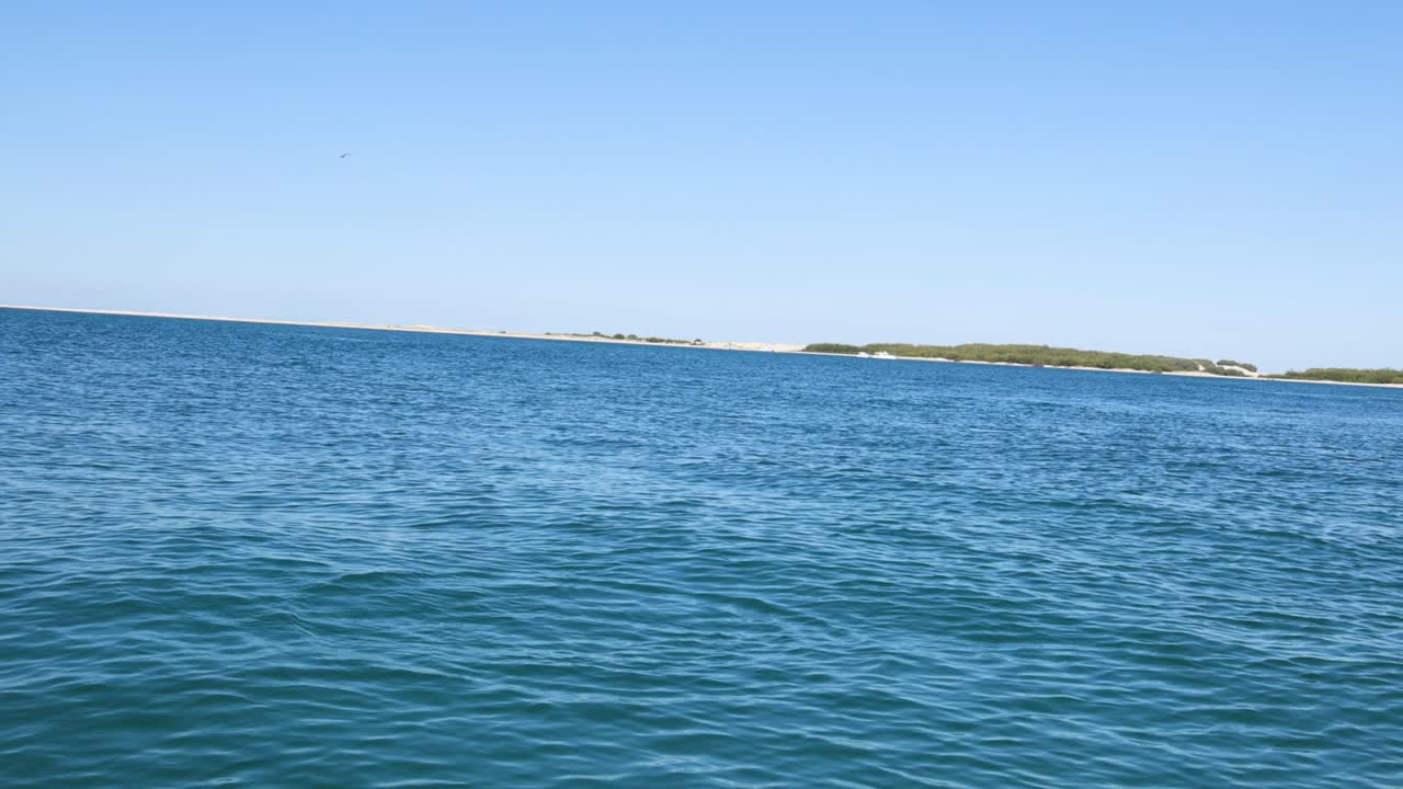 은 파란 하늘 아래 평온한 바다 파도