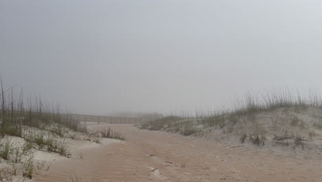 foggy beach, ocean walkway and sand dunes on misty morning