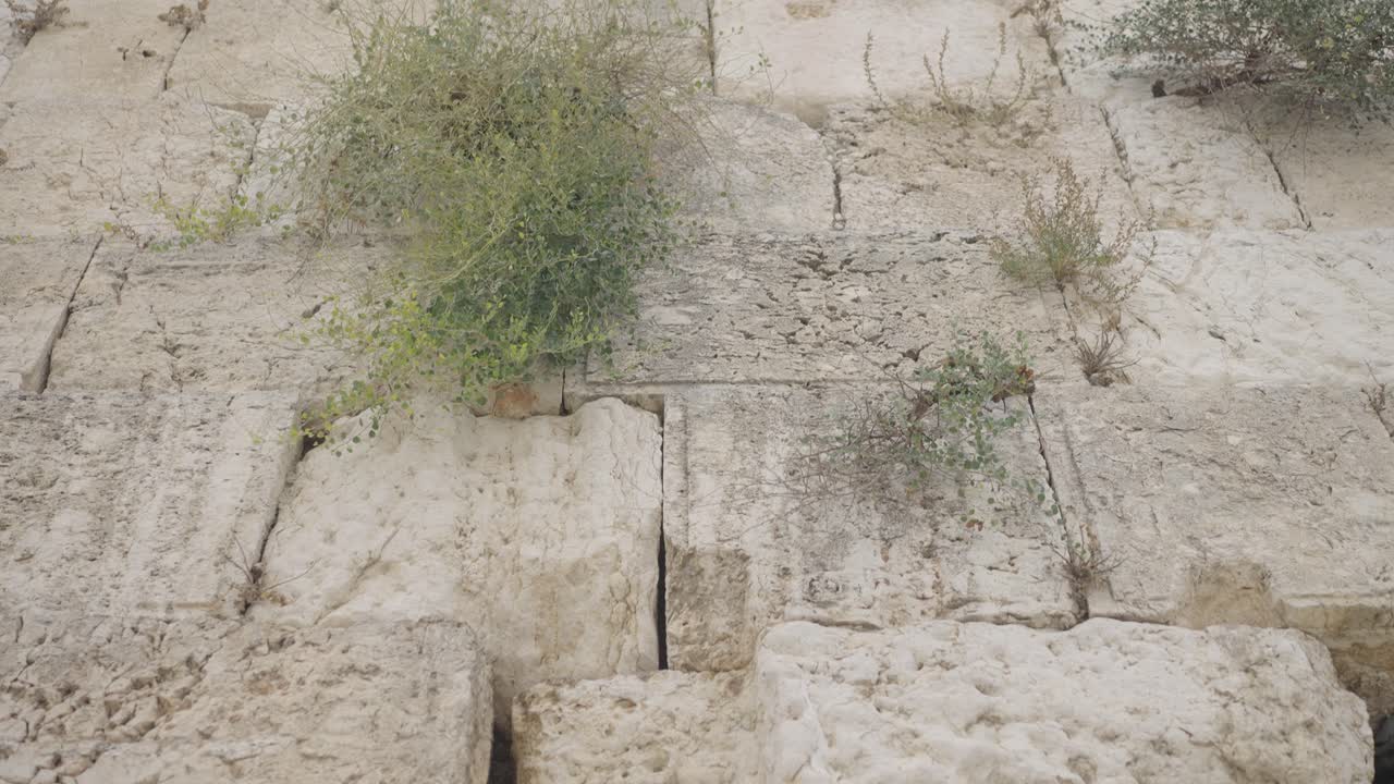 Close-up view of the Western Wall in Jerusalem