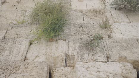 close-up view of the western wall in jerusalem