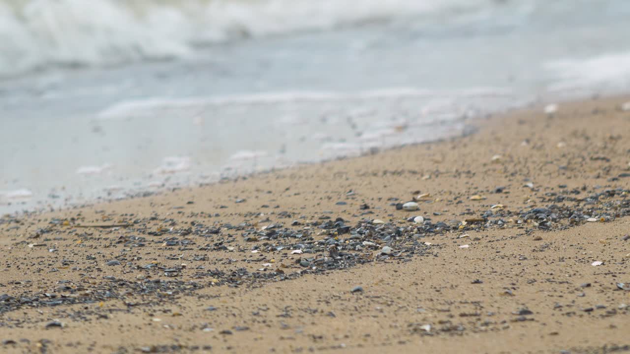 여름에  ⁇  모래 해변에 있는 조개, 평온한 파도, 발트해 해안, 여름 휴가, 휴식, 바다, 여행 개념, 낮은 중간  ⁇