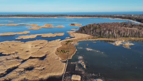 Sendero-De-Madera-A-Través-Del-Lago-Kaniera-Cañas-Tiro-Aéreo-De-Primavera-Lapmezciems,-Letonia