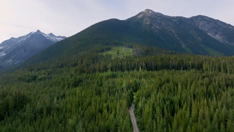 conduciendo a través de una carretera asfaltada con bosques densos e imponentes montañas en la autopista 99, pemberton, bc, canadá