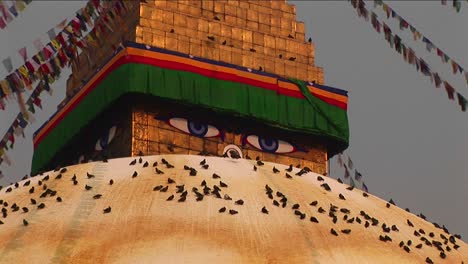 boudhanath stupa 확대 눈