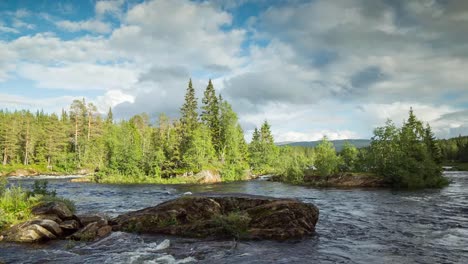 norway firtree lake 00