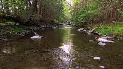 low angle drone footage of a beautiful stream in a lush, green, magical forest with a setting sun