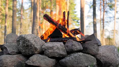 Brennendes-Lagerfeuer-Im-Wald