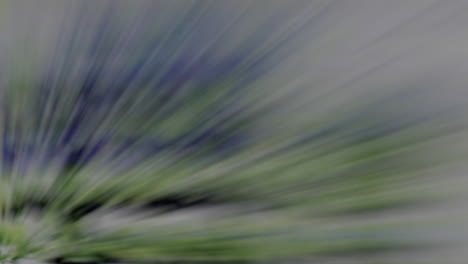 movimiento radial borroso abstracto