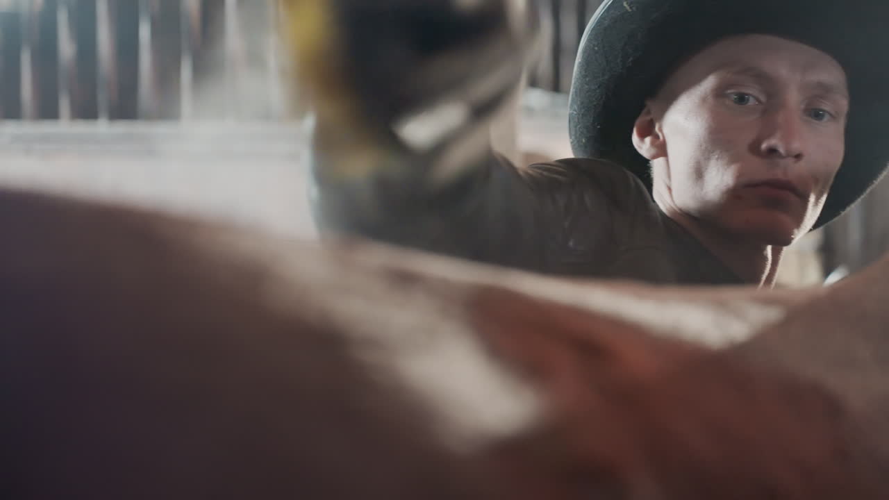 Cowboy grooming horse in stable, quiet tandem education scene showing closeup brush strokes across shiny coat, patient handling and focused instruction, ambient barn light and leather glove, intimate
