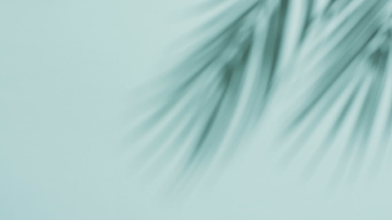 Animation of shadow of palm tree leaves moving with copy space over blue background