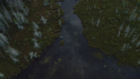 aerial view of a shrinking pond in the middle of the forest