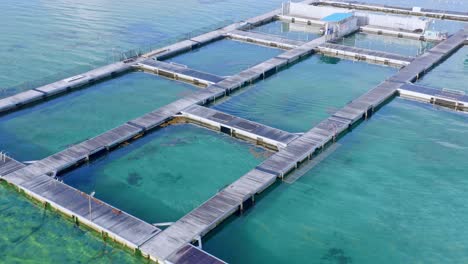 Aerial-pov-of-dolphin-pool-park-structure-on-seawater-at-Punta-Cana-in-Dominican-Republic