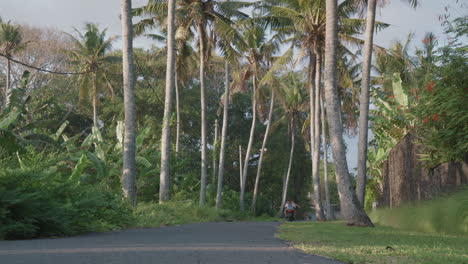 couple riding scooter into distance