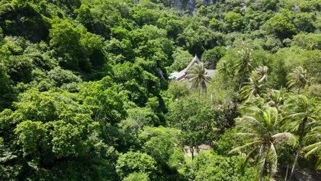 aerial steady footage of a buddhist temple complex within the forest