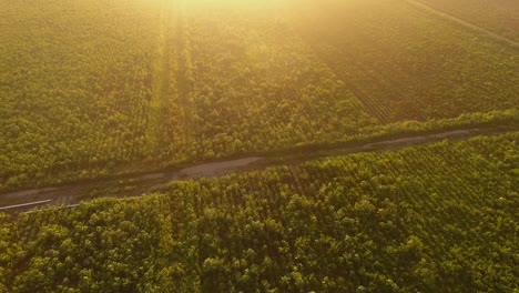 Dawning-on-crops-in-Mexico