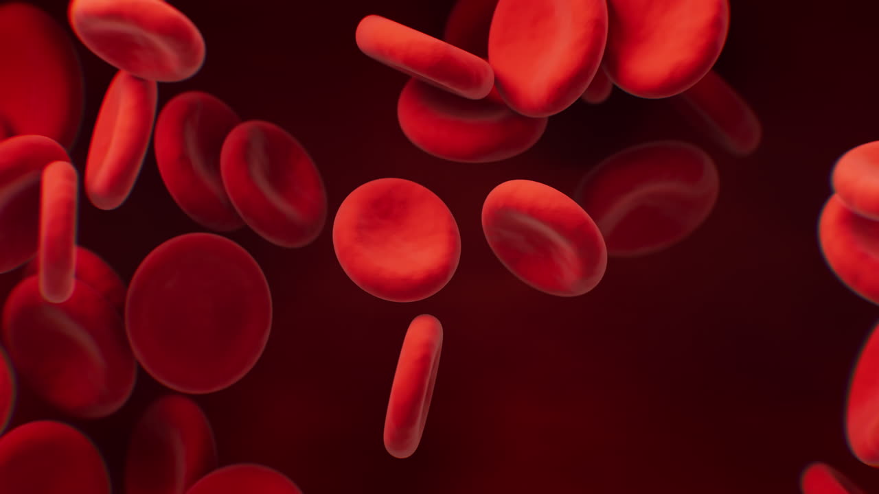 Red blood cells with biological and medical concept, 3d rendering
