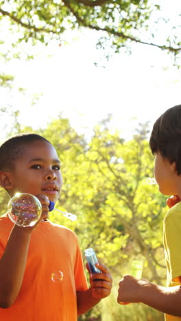 grupo de niños soplando burbujas en el parque