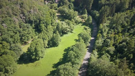 tracking shot of a car driving through an enclosed forest passing a large mansion