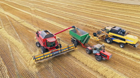 harvesting field with combine. aerial view on the combines and tractor working on the large wheat field