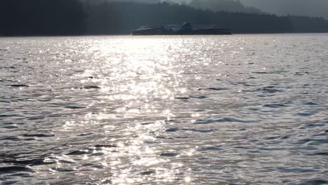 sunlight reflecting on gentle ocean waves