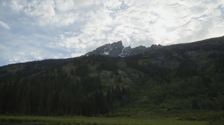 Cloudy summer landscape of the Grand Teton mountains surrounded by dense green foliage and pine forests, captured from Moose Pond in Grand Teton National Park during a peaceful July day in Wyoming.
