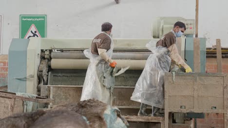 employees of a leather factory in pakistan, treating animal hides for production process.