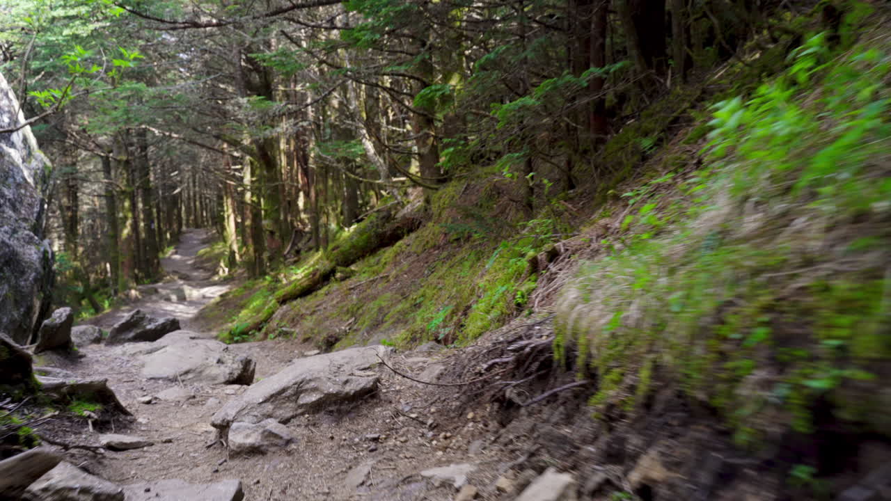 Walking a trail in Asheville, North Carolina